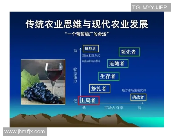 国内足球明星商业价值分析与市场潜力探讨及其对足球产业的影响